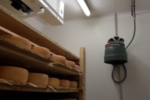 Cave à fromages à Tresilley (2018)